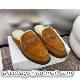 Good Looking Dior Boy Flat Mules in Suede and Shearling Wool Brown 930012