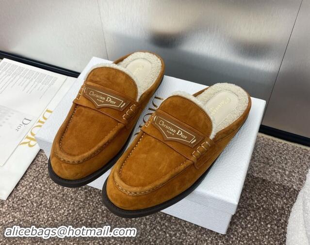 Good Looking Dior Boy Flat Mules in Suede and Shearling Wool Brown 930012