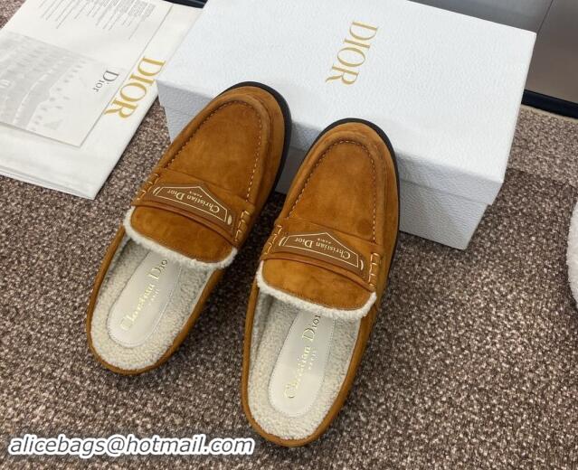 Good Looking Dior Boy Flat Mules in Suede and Shearling Wool Brown 930012