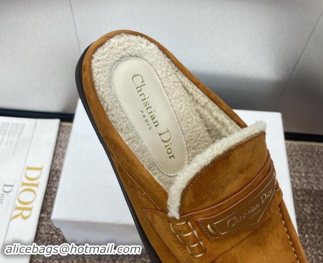 Good Looking Dior Boy Flat Mules in Suede and Shearling Wool Brown 930012