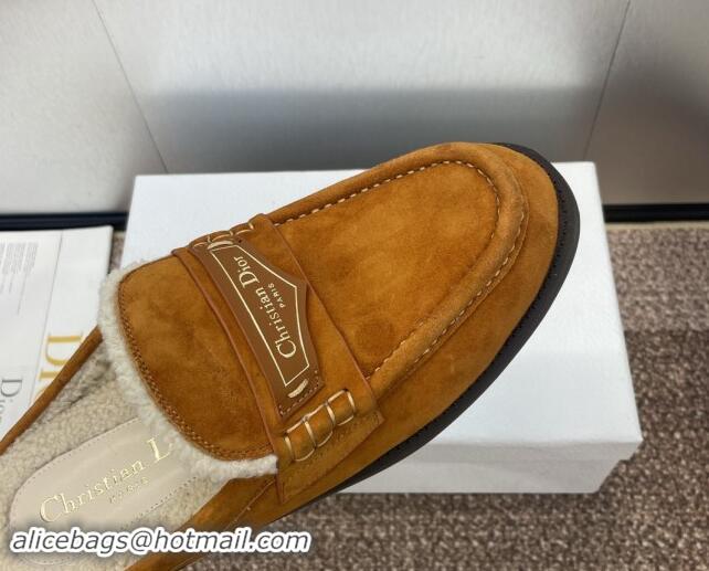 Good Looking Dior Boy Flat Mules in Suede and Shearling Wool Brown 930012