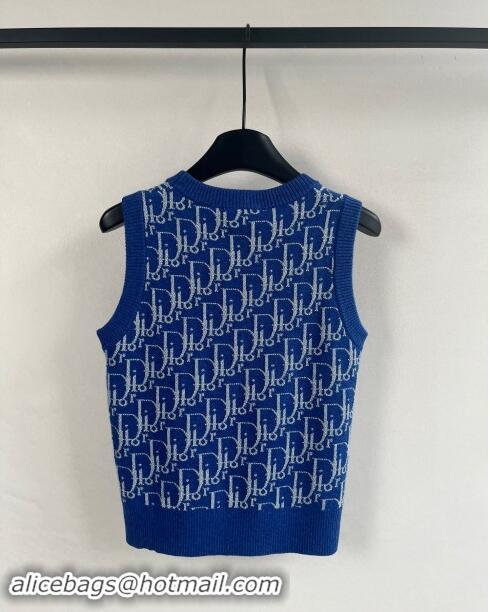 Well Crafted Dior Cashmere Vest D82404 Blue 2024