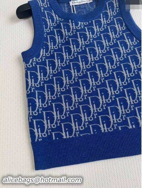 Well Crafted Dior Cashmere Vest D82404 Blue 2024