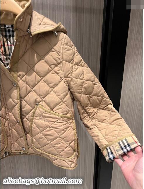 Grade Quality Burberry Padded Coat B92524 2024