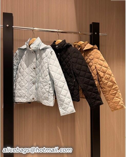 Grade Quality Burberry Padded Coat B92524 2024