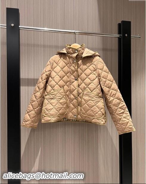 Grade Quality Burberry Padded Coat B92524 2024