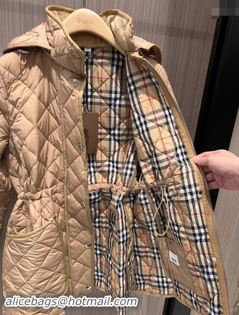 Luxury Cheap Burberry Padded Coat B92525 Brown 2024