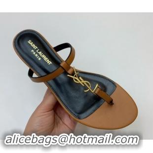 Charming Saint Laurent YSL Flat Thong Slide Sandals in Brown Calf Leather 506124