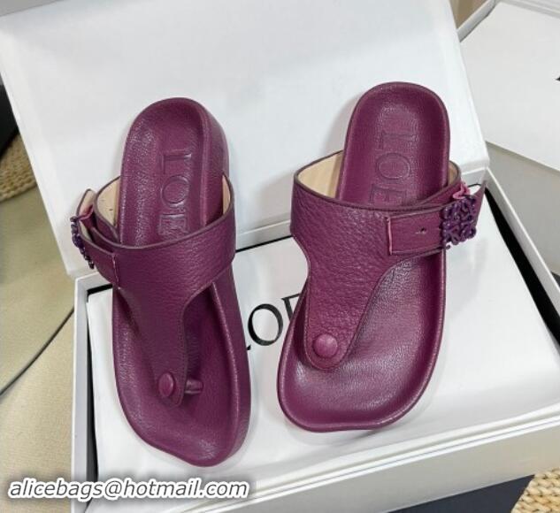 Best Product Loewe Ease Toe Post Thong Sandals in Lambskin Purple 506112