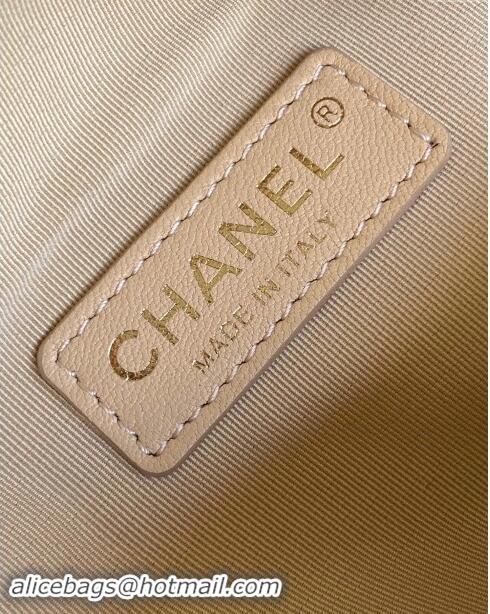 Grade Quality Chanel Small Camera Case Bag in Shiny Crumpled Lambskin AS5220 Beige 2024