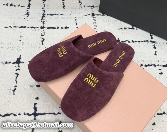 Cheap Price Miu Miu Suede Flat Mules Dark Purple 703135