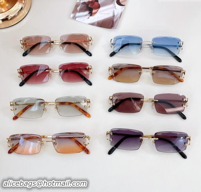 Luxury Cheap Cartier Sunglasses CT0090O 2024 Top