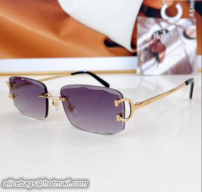 Luxury Cheap Cartier Sunglasses CT0090O 2024 Top