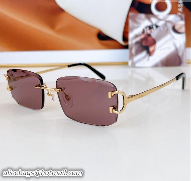 Popular Style Cartier Sunglasses CT0090O 024 Top