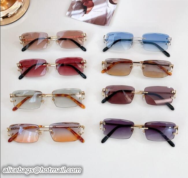 Unique Style Cartier Sunglasses CT0090O 2024 Top