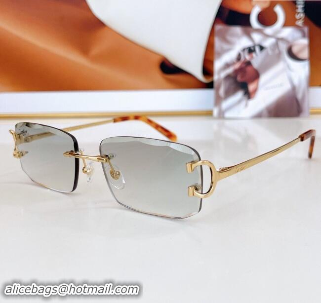 Modern Classic Cartier Sunglasses CT0090O 2024 Top