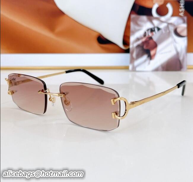 Best Grade Cartier Sunglasses CT0090O 2024 Top