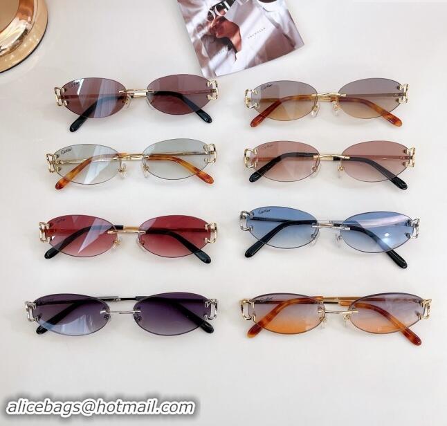 Spot Bulk Cartier Sunglasses CT0090O 2024 Top