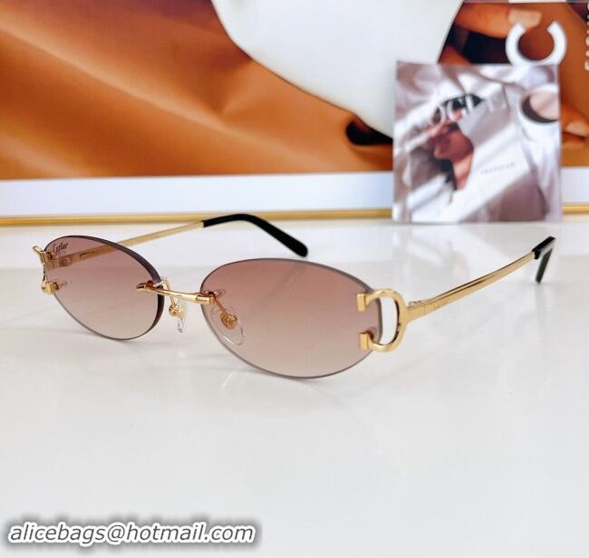 Hot Style Cartier Sunglasses CT0090O 2024 Top