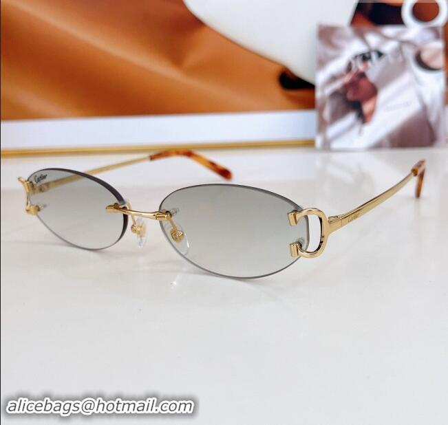 Luxury Cheap Cartier Sunglasses CT0090O 2024 Top