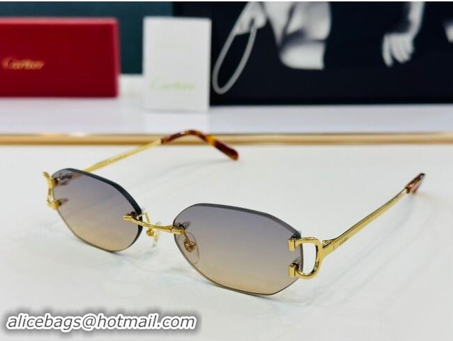 Best Design Cartier Sunglasses CT0029 2024 Top