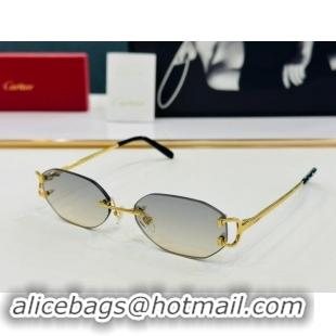 Market Sells Cartier Sunglasses CT0029 2024 Top