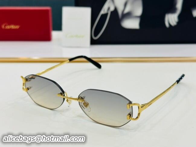 Market Sells Cartier Sunglasses CT0029 2024 Top