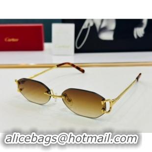 Spot Bulk Cartier Sunglasses CT0029 2024 Top