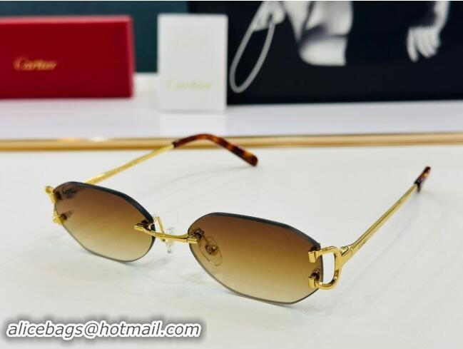 Spot Bulk Cartier Sunglasses CT0029 2024 Top