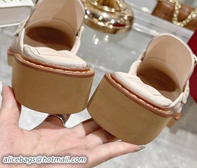 Pretty Style Roger Vivier Viv' Rangers Metal Buckle Mules in Suede Beige 812118