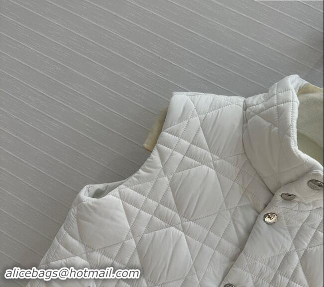 Luxury Cheap Dior Nylon and Padded Vest 1025 White 2024