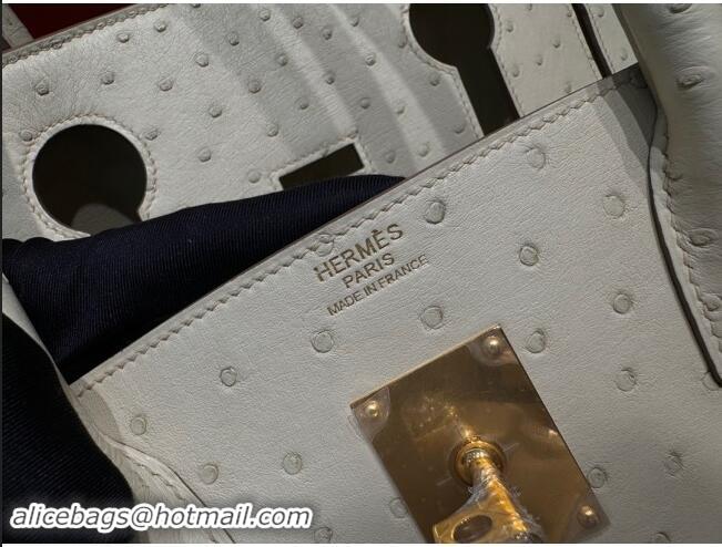 Trendy Design Hermes Shoulder Birkin 42 JPG Bag in Ostrich Leather H042 Milk Shake White/Silver 2024 (Full Handmade)