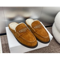 Good Looking Dior Boy Flat Mules in Suede and Shearling Wool Brown 930012