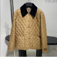 Buy Classic Burberry Padded Jacket B101820 Khaki 2024