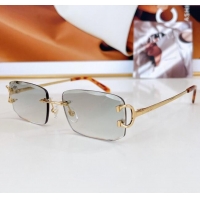 Modern Classic Cartier Sunglasses CT0090O 2024 Top