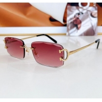 Buy Classic Cartier Sunglasses CT0090O 2024 Top