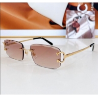 Best Grade Cartier Sunglasses CT0090O 2024 Top