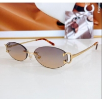 Spot Bulk Cartier Sunglasses CT0090O 2024 Top