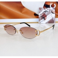 Hot Style Cartier Sunglasses CT0090O 2024 Top