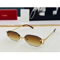 Spot Bulk Cartier Sunglasses CT0029 2024 Top