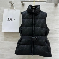 Good Taste Dior Snow...