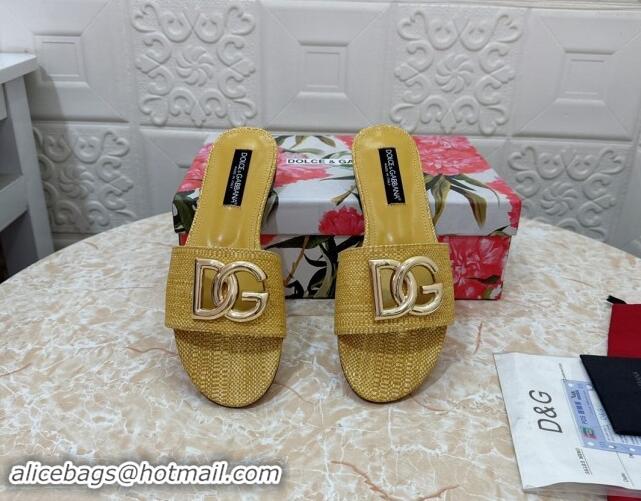 Buy Discount Dolce & Gabbana DG Straw-Like Flat Slide Sandals Yellow 325125