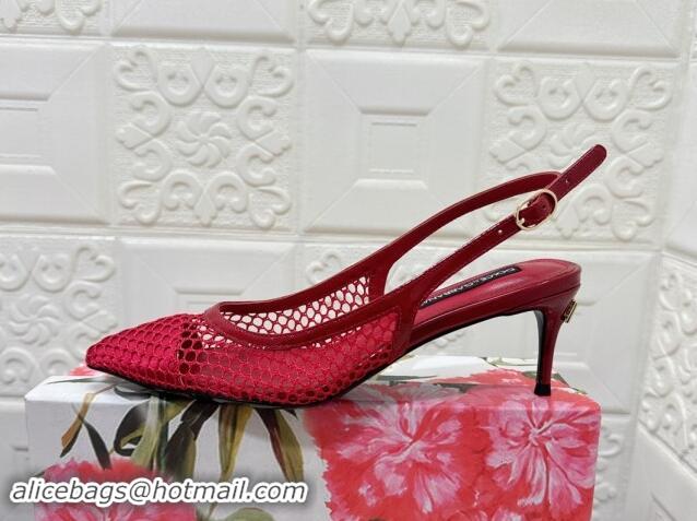 Best Grade Dolce & Gabbana DG Patent Leather and Mesh Slingbacks Pumps 6.5cm Red 506095