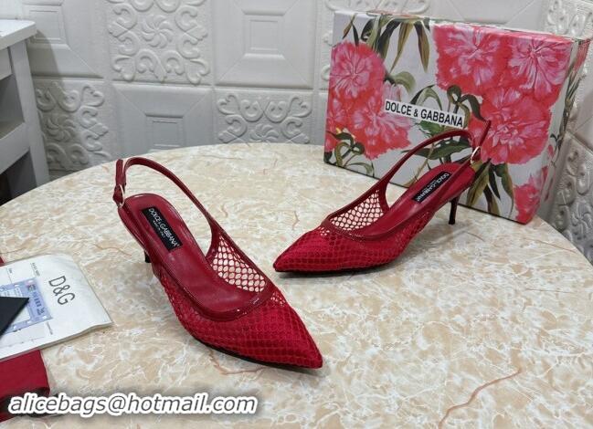 Best Grade Dolce & Gabbana DG Patent Leather and Mesh Slingbacks Pumps 6.5cm Red 506095