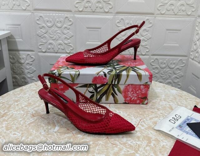 Best Grade Dolce & Gabbana DG Patent Leather and Mesh Slingbacks Pumps 6.5cm Red 506095