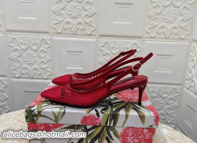 Best Grade Dolce & Gabbana DG Patent Leather and Mesh Slingbacks Pumps 6.5cm Red 506095