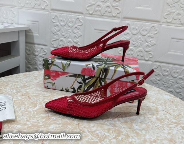 Best Grade Dolce & Gabbana DG Patent Leather and Mesh Slingbacks Pumps 6.5cm Red 506095