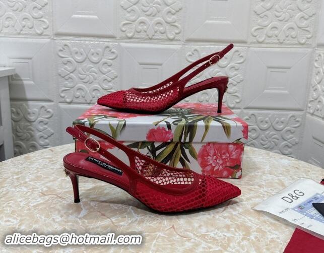 Best Grade Dolce & Gabbana DG Patent Leather and Mesh Slingbacks Pumps 6.5cm Red 506095