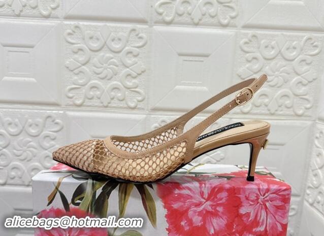 Luxurious Dolce & Gabbana DG Patent Leather and Mesh Slingbacks Pumps 6.5cm Beige 506096