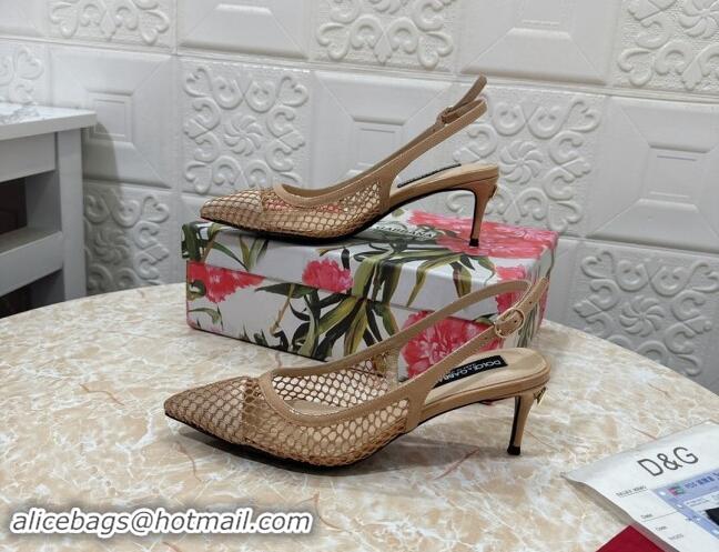 Luxurious Dolce & Gabbana DG Patent Leather and Mesh Slingbacks Pumps 6.5cm Beige 506096